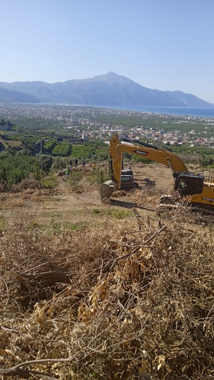 Depremzedenin çilesi bitmiyor: Denize nazır ağaçlara şafak vakti kıydılar - Resim : 1
