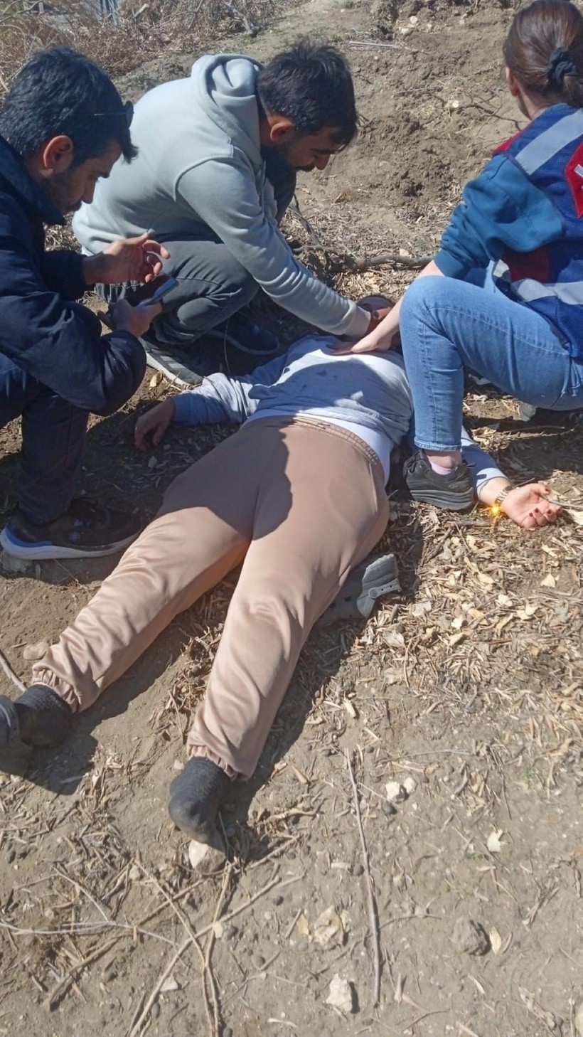 Depremzedenin çilesi bitmiyor: Denize nazır ağaçlara şafak vakti kıydılar - Resim : 2