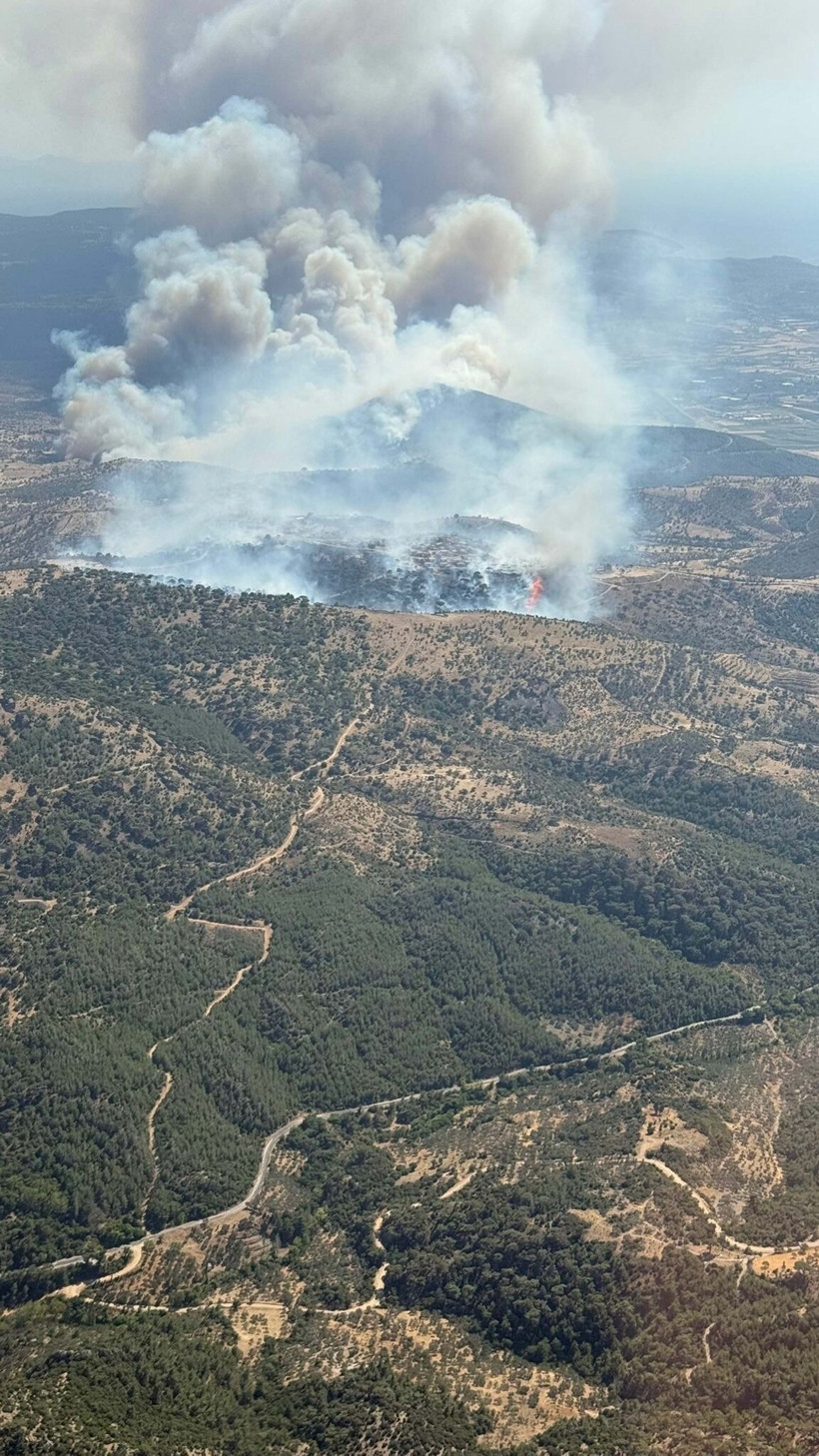 Çanakkale'deki büyük yangından kahreden fotoğraflar - Resim: 3