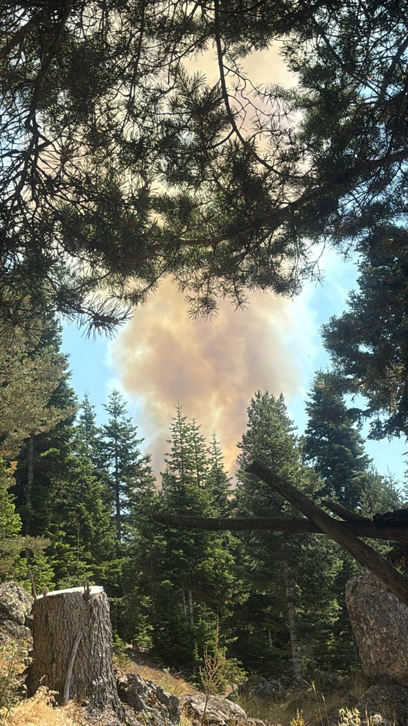 Çankırı'da orman yangını - Resim : 2