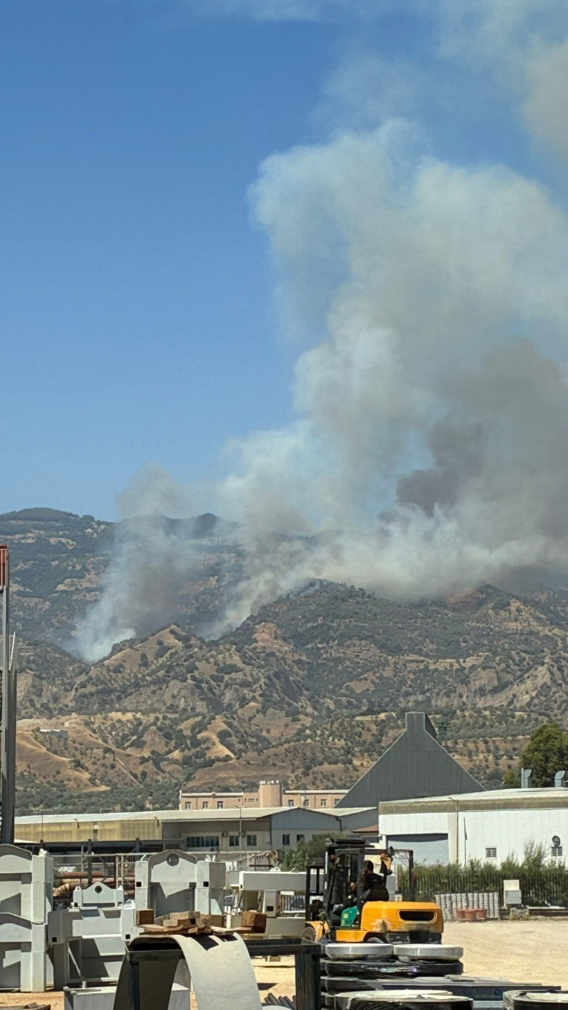 Alevler Aydın'dan yükseliyor: Ormana sıçradı - Resim : 1