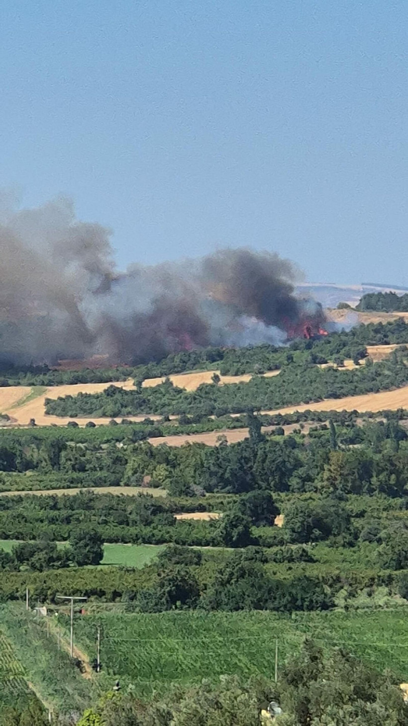 Çanakkale yine alevlere teslim: Yangın ormana sıçradı - Resim: 1