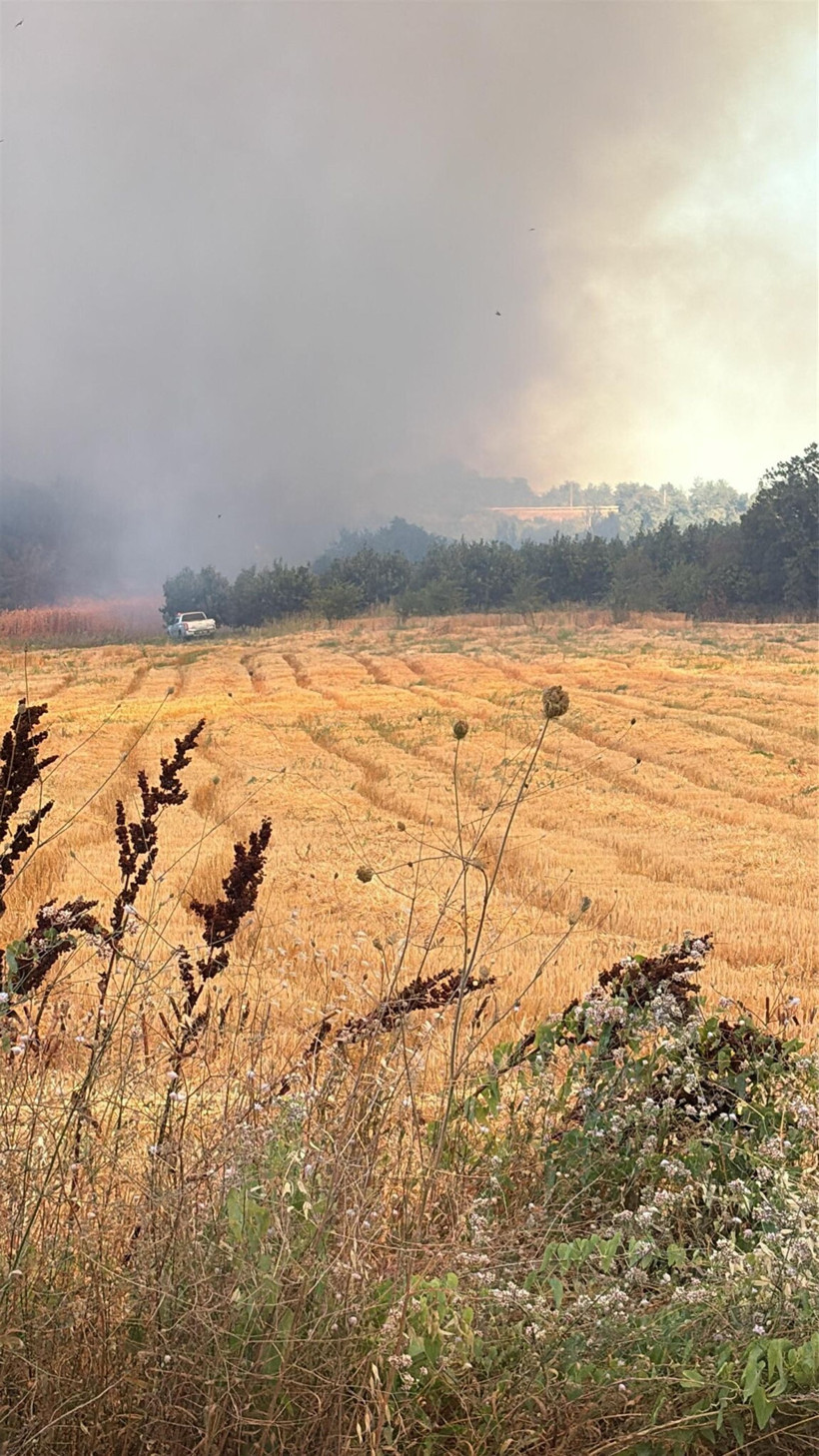 Çanakkale yine alevlere teslim: Yangın ormana sıçradı - Resim: 4