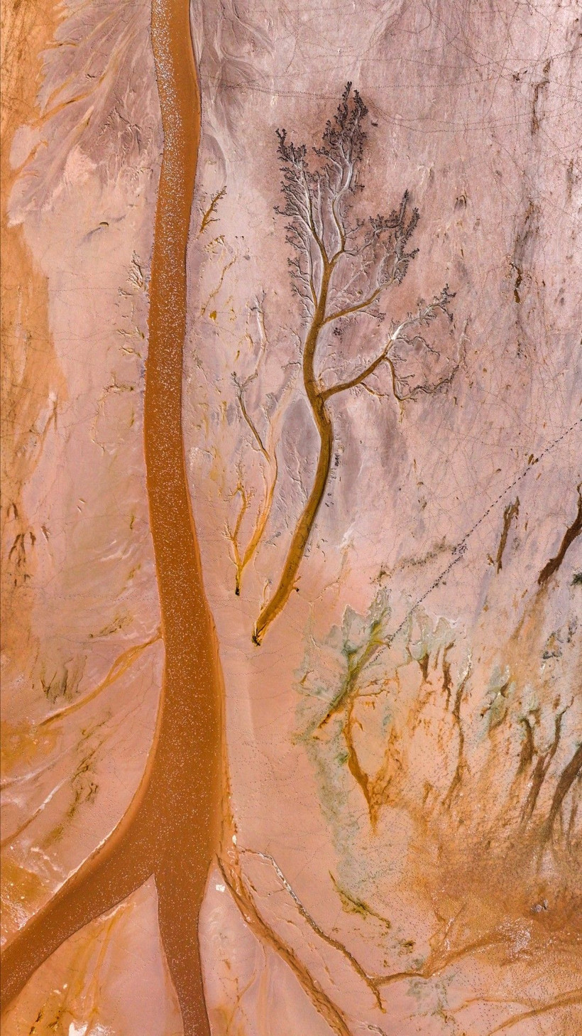 Doğa sanatını konuştu: Resmen tuval - Resim: 4