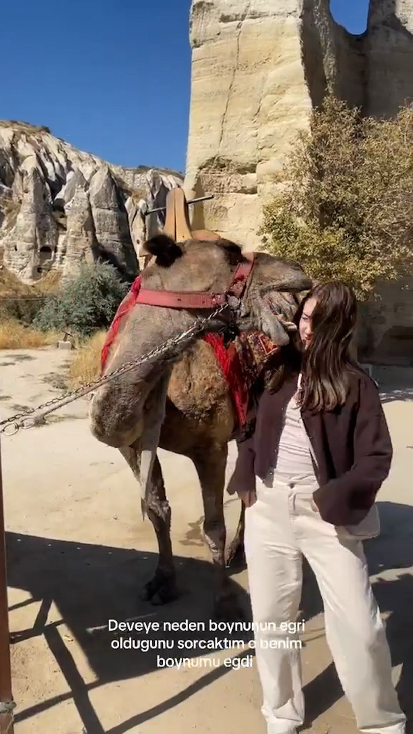 Deve genç kızın kafasını kapıyordu. Hamleyi son saniyede gördü - Resim : 2
