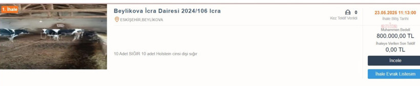 Sarıkız bile icralık oldu: Çiftçi ithalata yenildi - Resim : 2
