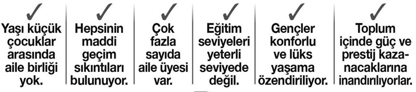 Bir suç örgütünün ANATOMİSİ - Resim : 1