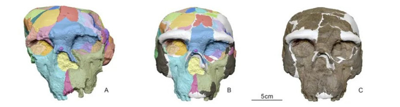 Ezber bozan araştırma: 1 milyon yıllık kafatası insanlık tarihini yeniden yazabilir - Resim : 1