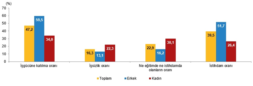 Gençlerin yüzde 22,3'ü ne okulda, ne işte - Resim : 1