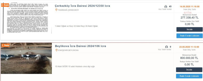 Sarıkız bile icralık oldu: Çiftçi ithalata yenildi - Resim : 1