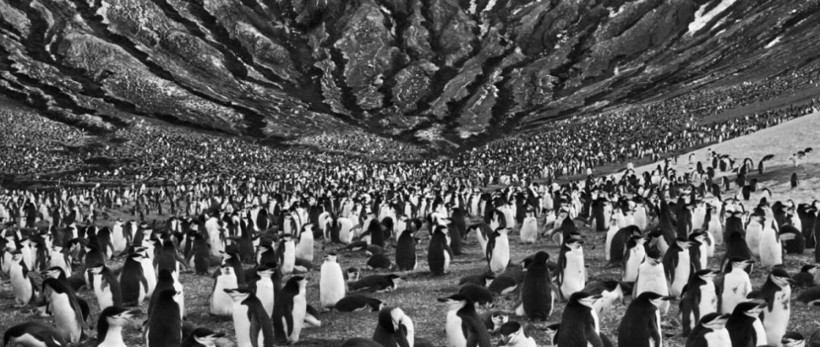 Dünyaca ünlü fotoğrafçı yaşamını yitirdi - Resim : 2