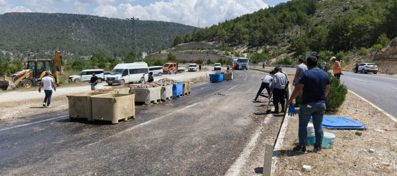 TIR'ın dorsesi patlayınca 15 ton balık yola saçıldı - Resim : 2