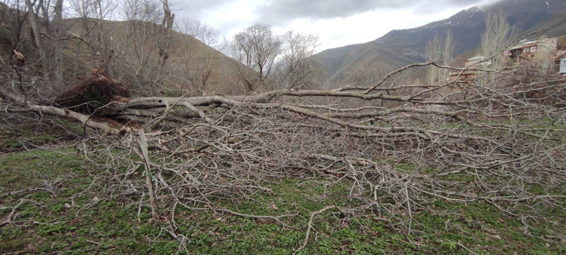 Nisan ayında kabusu yaşadılar: Çatılar uçtu, ağaçlar devrildi, hala yardım bekliyorlar - Resim : 2