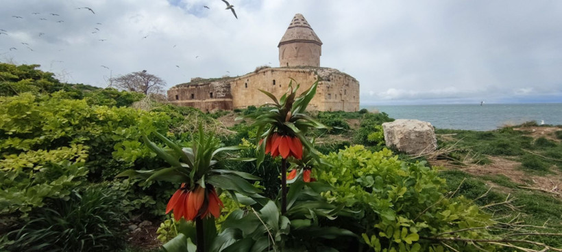Bu adayı çok az kişi biliyor: İnsandan çok martı var - Resim: 16