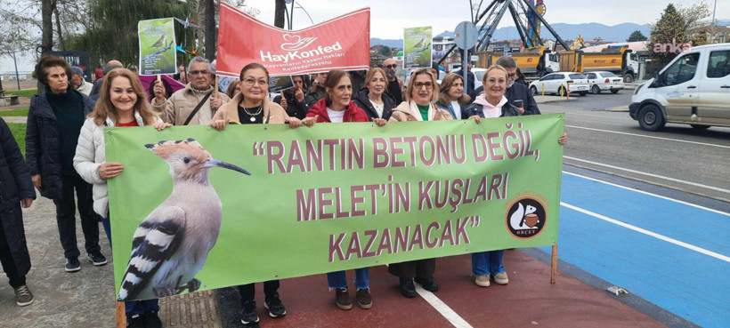 Ordu'da yeşil alan nöbetine gece baskını - Resim : 3