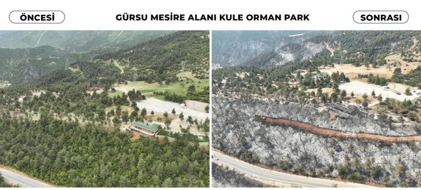 Öncesi-sonrası: Bursa kül oldu - Resim: 4