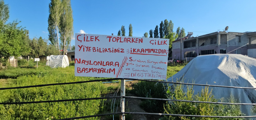 Ne aracı var ne komisyon: Hem vatandaş hem de üretici kazandı - Resim : 1