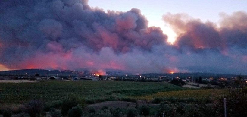 Tekirdağ'daki orman yangını büyüdü - Resim: 27