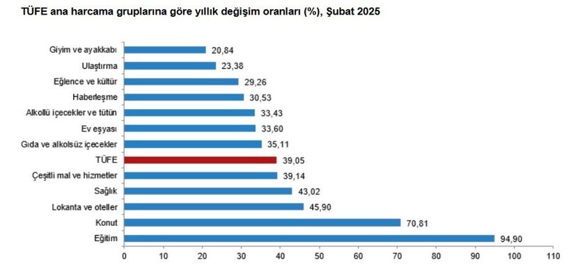 Şubat ayı enflasyon rakamları açıklandı - Resim : 1