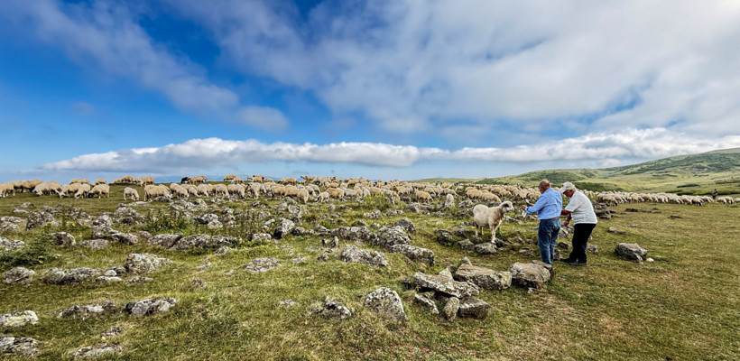 639 yıllık mezarlık köylülerin hayvanlarına tuz taşı oldu - Resim : 2