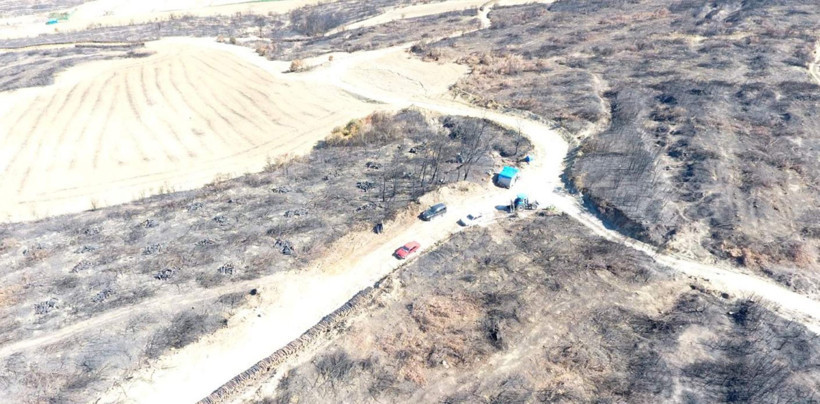 Tekirdağ Şarköy’de orman yangını sonrası temizlik başladı - Resim : 7