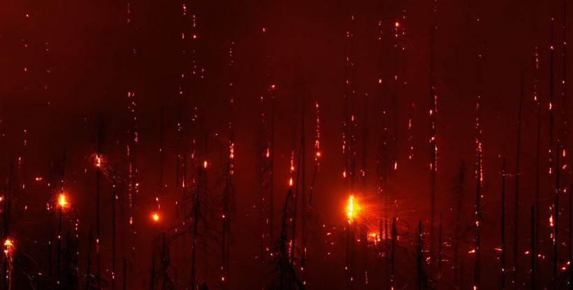 2025 Doğa Fotoğrafçılığı Yarışması'nın kazananları belli oldu - Resim: 7