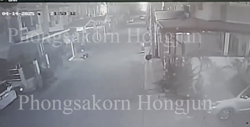 Cani anne: Sokak ortasında doğum yapıp ölüme terk etti - Resim: 2