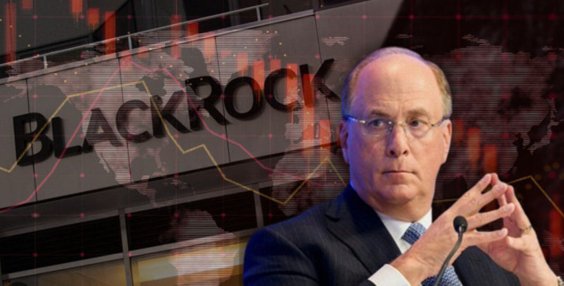Dünyanın en büyük fonu BlackRock hisselerini satarak aniden Türkiye'den çekildi - Resim : 3