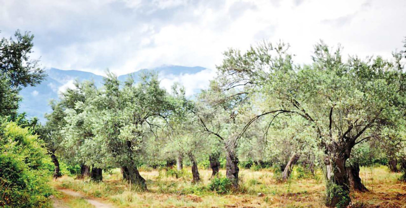 Bu düzen köle düzeni - Resim : 3