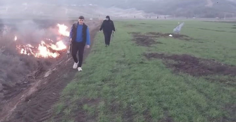 Tüfekle 'domuz' nöbeti: Tarlalarını koruyamazlarsa ekime son verecekler - Resim : 1