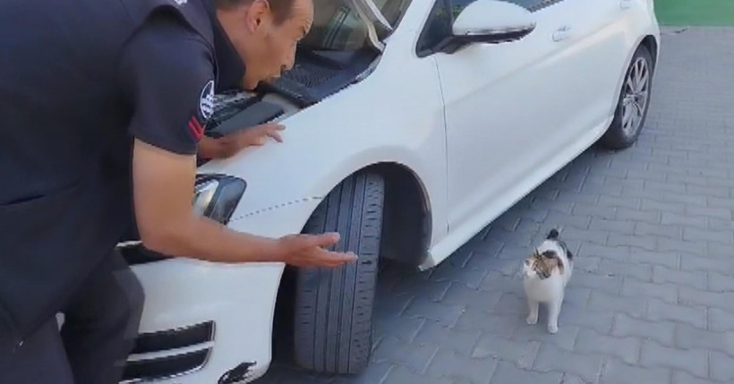 Motorda sıkışan yavrularını böyle bekledi - Resim : 1