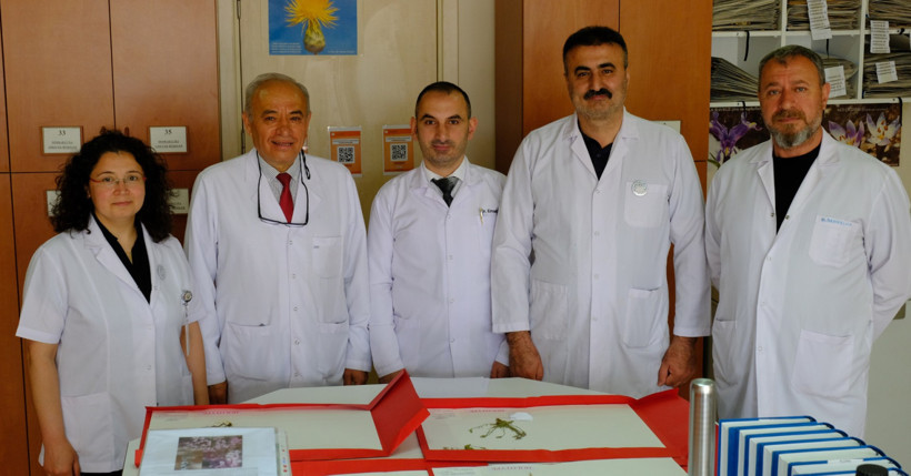 4 yeni bitki türü bulundu: Biri eşinin adıyla literatüre girdi - Resim : 2