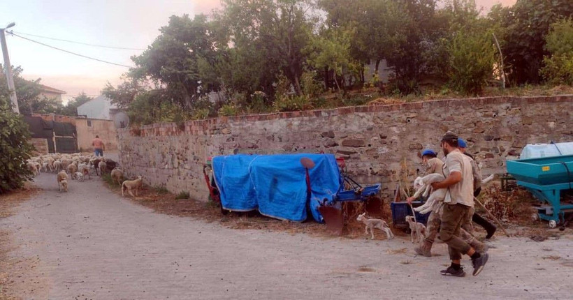 Tekirdağ'daki orman yangını büyüdü - Resim: 19