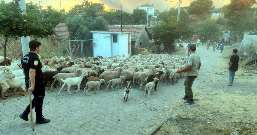 Tekirdağ'daki orman yangını büyüdü - Resim: 20
