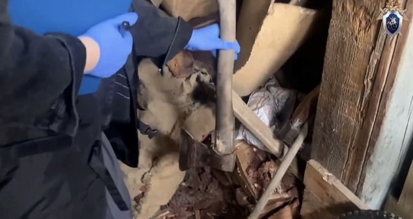 Cani anne çocuklarını vahşice katletti: Görüntüler ortaya çıktı - Resim: 3