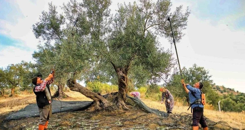 Türkler tadına bile bakamıyor Avrupalı ilaç yerine tüketiyor - Resim: 12