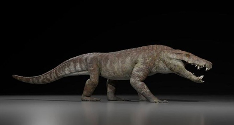 Çarpıcı keşif: Öyle güçlüydü ki dinozorları bile yiyordu - Resim : 2