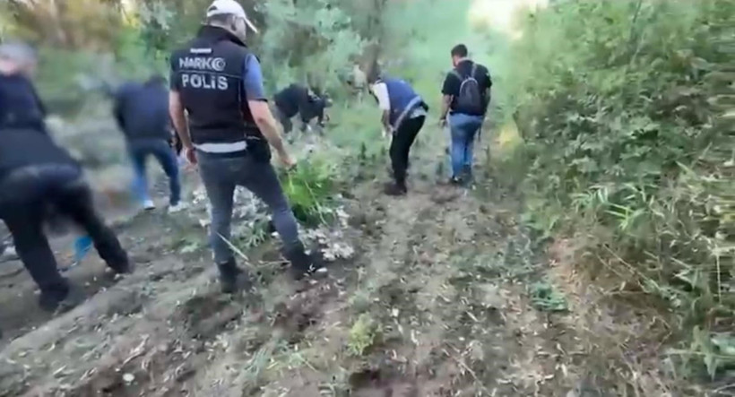 Diyarbakır'da narkotik operasyonunda 12 bin kök kenevir ele geçirildi - Resim : 1