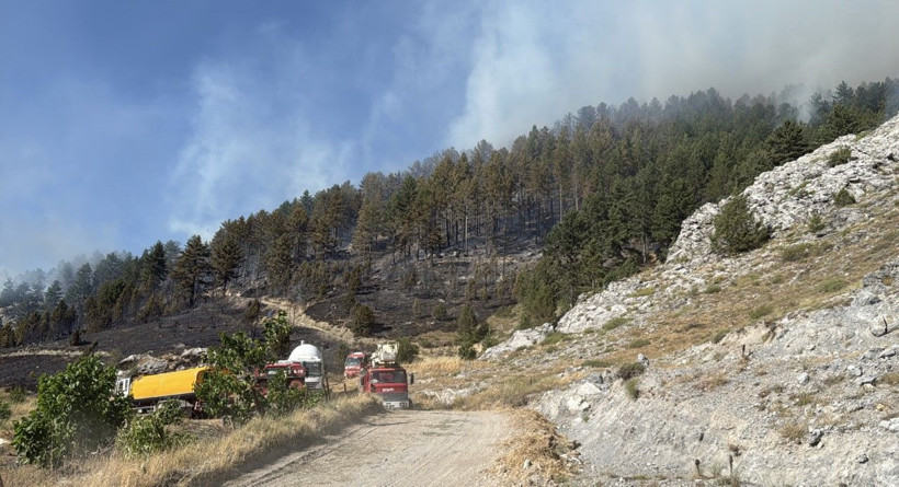 Antalya'da 5 ilçedeki orman yangınlarının 2'sine müdahale sürüyor - Resim: 3