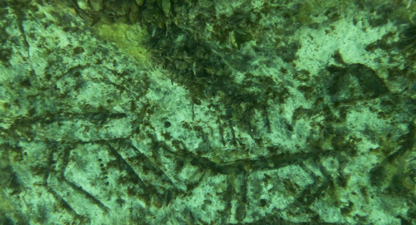 Balıkçılar tesadüfen buldu: Suyun altında binlerce yıllık kaya resimleri - Resim : 2