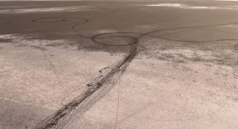 Bir zamanlar binlerce flamingo vardı… Şimdi sadece ayak izleri kaldı - Resim : 3