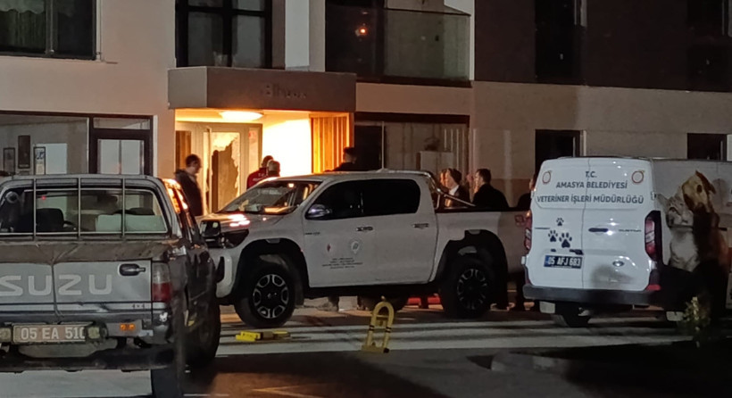 Sitede dev yaban domuzu paniği! Polis bina içinde vurdu - Resim : 4