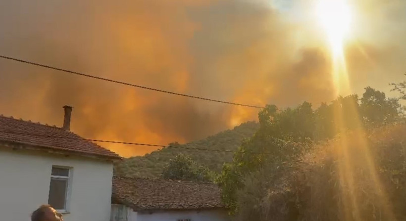 İzmir'de bir orman yangını daha - Resim : 2