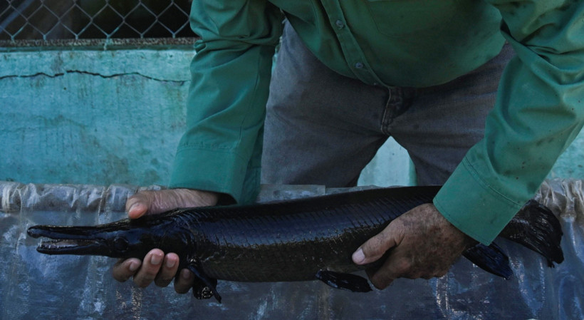 140 milyon yıllık hazine tehlikede - Resim : 1
