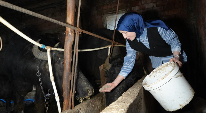 KPSS ile atanmadı, 100 bin liraya kendi çiftliğini kurdu - Resim : 1