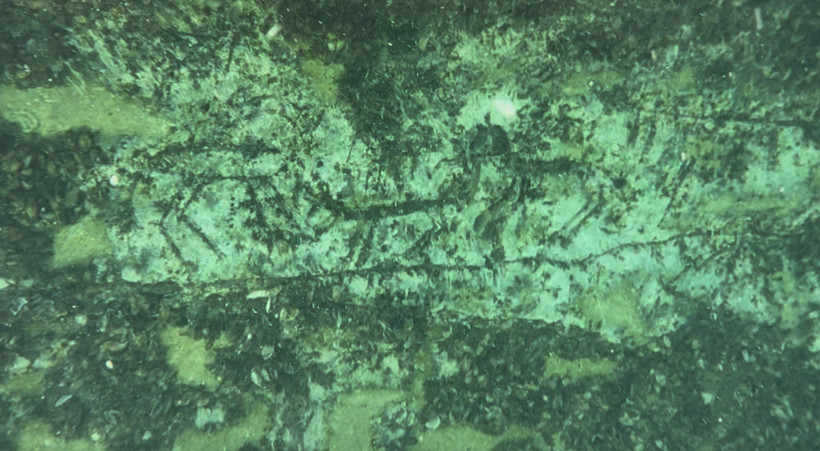 Balıkçılar tesadüfen buldu: Suyun altında binlerce yıllık kaya resimleri - Resim : 1