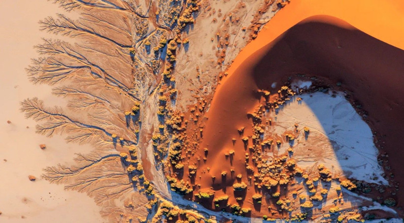National Geographic yılın en iyi karelerini seçti: Türk fotoğrafçı da ödül aldı - Resim: 1