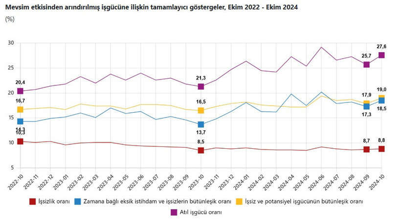 Ekim 2024 işsizlik rakamları açıklandı - Resim : 1