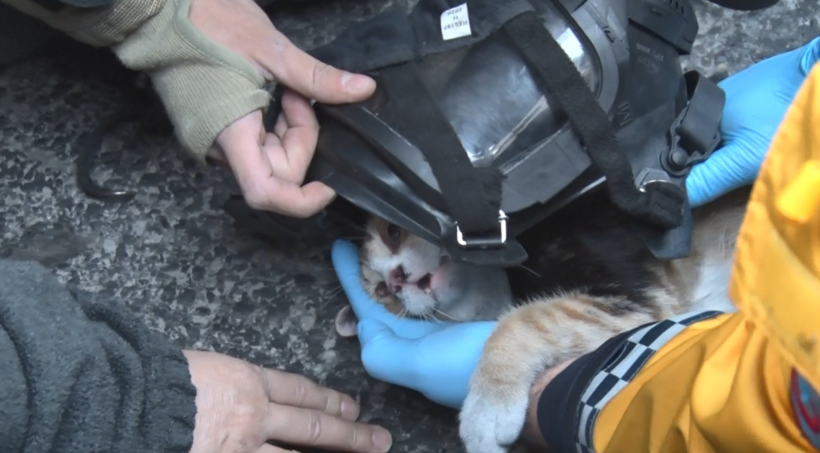 Hayat kurtaran kalp masajı - Resim : 1