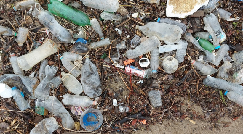 Karadeniz'de plajların yüzde 90'ı kirli - Resim : 1